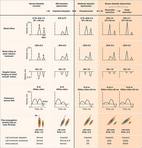 early stages of diastolic dysfunction.